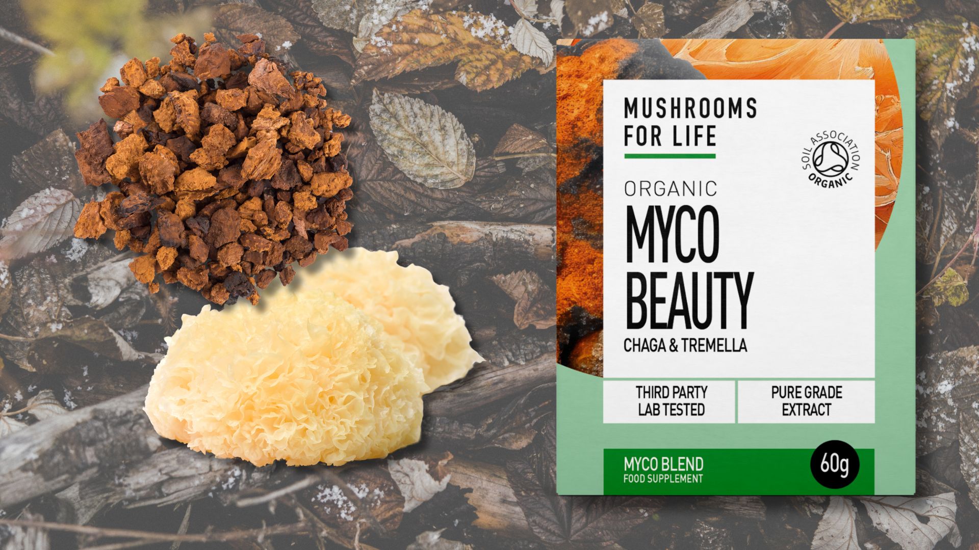 mybeauty powder